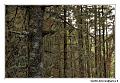 img_4170_dxo_raw-border