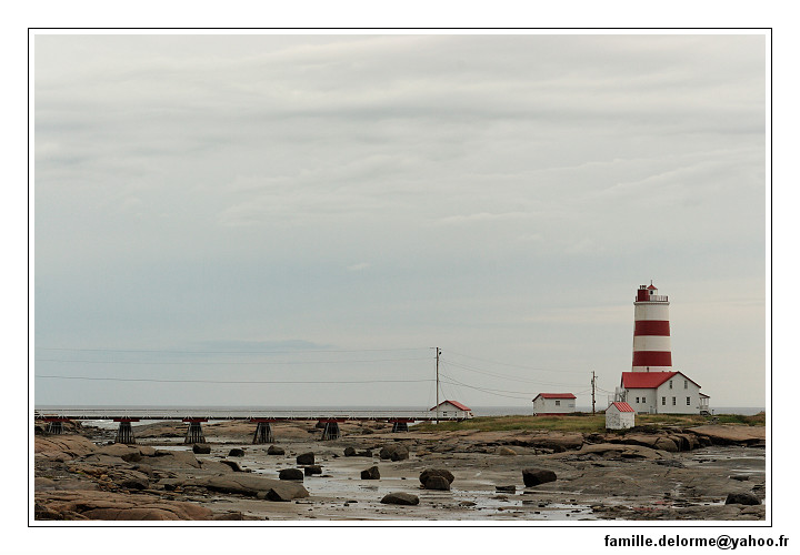 img_3655_dxo_raw-border.jpg