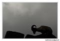 img_3960_dxo_raw-border