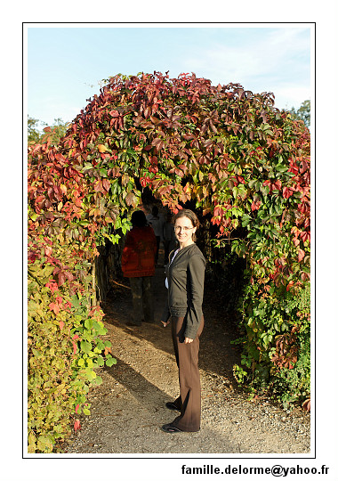 img_4785-border.jpg