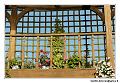 img_4778-border