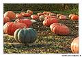 img_4786-border