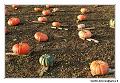 img_4787-border