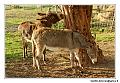 img_4796-border