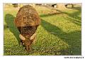 img_4797-border