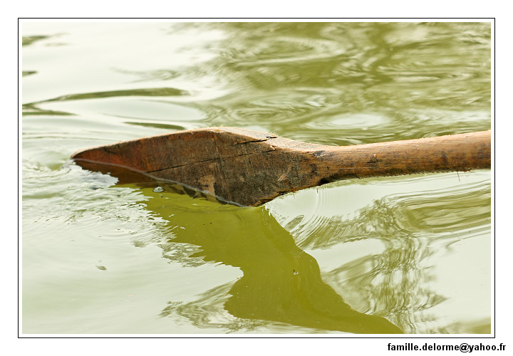 IMG_5320_DXO.jpg