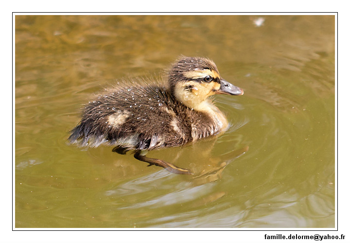IMG_5410_DXO.jpg