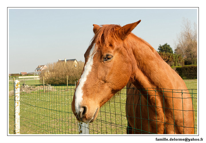 IMG_5282_DXO.jpg