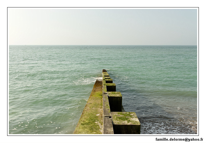 IMG_5310_DXO.jpg