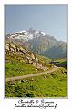 IMG_8764_RD