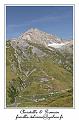 IMG_8785_RD
