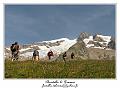 IMG_8795_RD