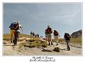 IMG_8799_RD