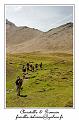 IMG_8809_RD