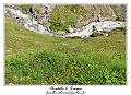 IMG_8847_RD