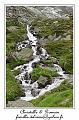 IMG_8920_RD