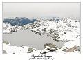 IMG_8993_RD