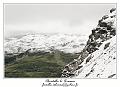 IMG_9020_RD