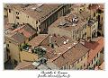 IMG_6339_RD