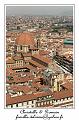 IMG_6343_RD