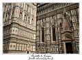 IMG_6353_RD