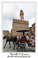 IMG_6416_RD