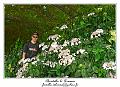 IMG_7112_RD