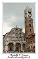 IMG_6500_RD