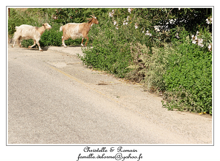 IMG_7861_RD.jpg