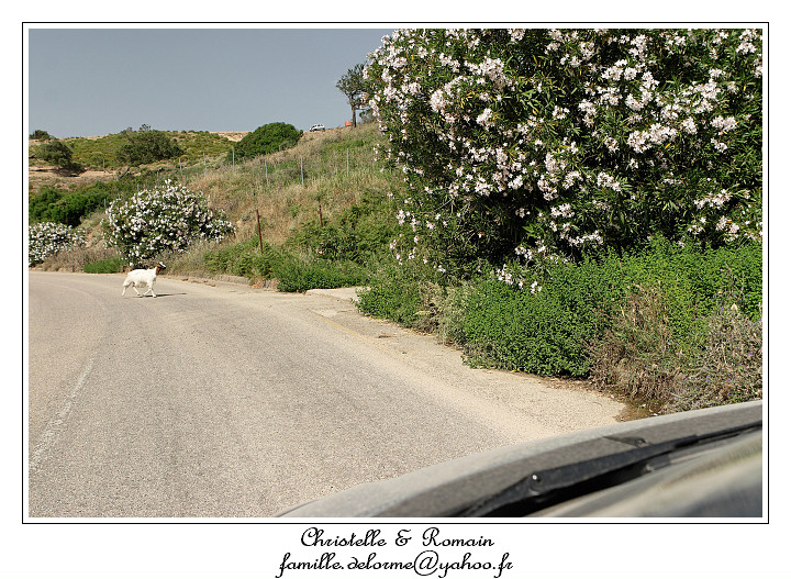 IMG_7862_RD.jpg