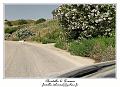 IMG_7862_RD