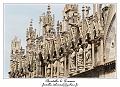 IMG_6594_RD