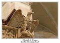 IMG_6632_RD