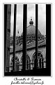 IMG_6685_RD