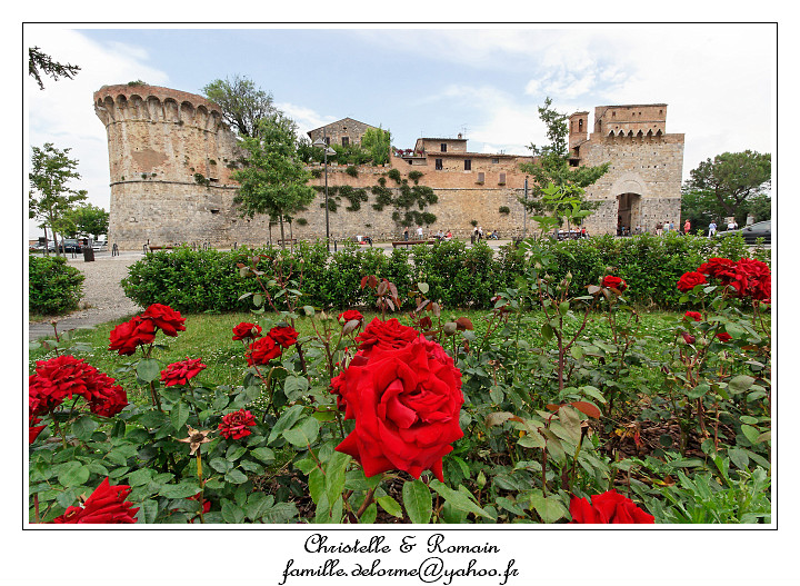 IMG_6781_RD.jpg