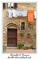 IMG_6787_RD