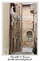 IMG_6788_RD