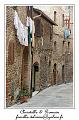 IMG_6789_RD