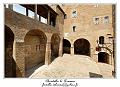 IMG_6802_RD