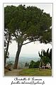 IMG_6840_RD