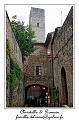 IMG_6846_RD