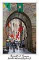 IMG_6854_RD