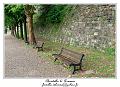 IMG_6859_RD