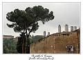 IMG_6865_RD