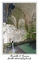 IMG_6875_RD