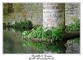 IMG_6879_RD