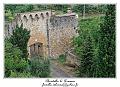 IMG_6884_RD