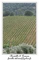IMG_6888_RD