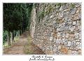 IMG_6890_RD