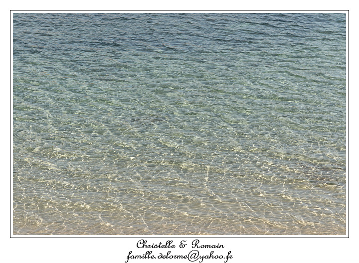 IMG_7654_RD.jpg
